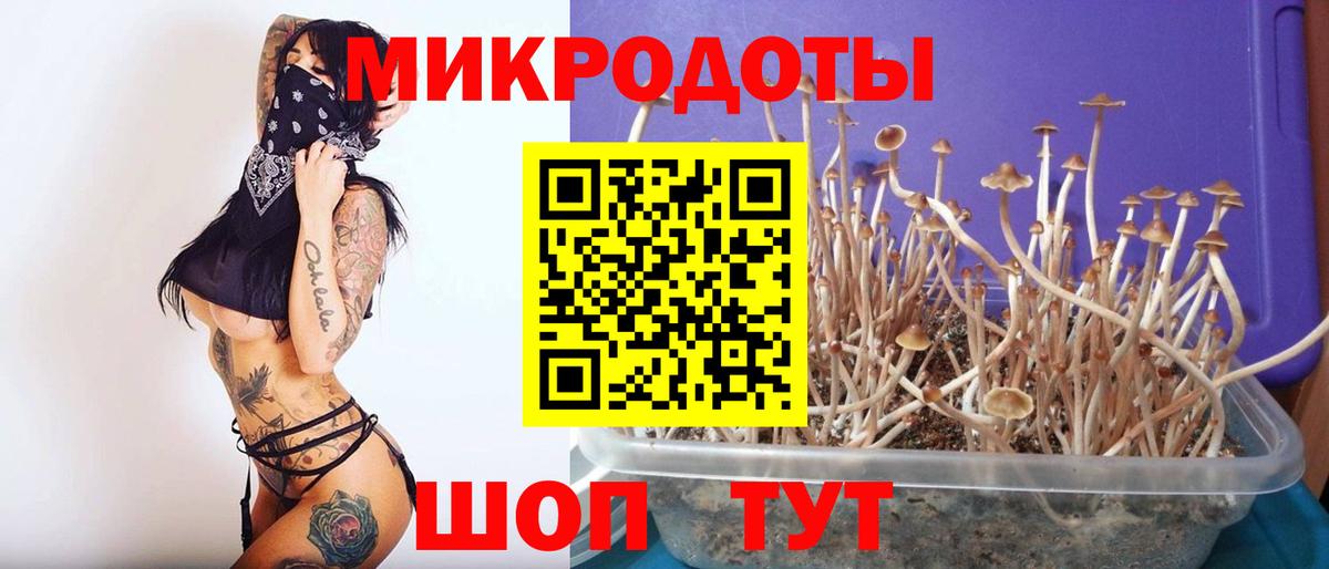 Кудрово  Псилоцибиновые грибы MAGIC MUSHROOMS  Вход с VPN  Галлюциногенные грибы прущие грибы 