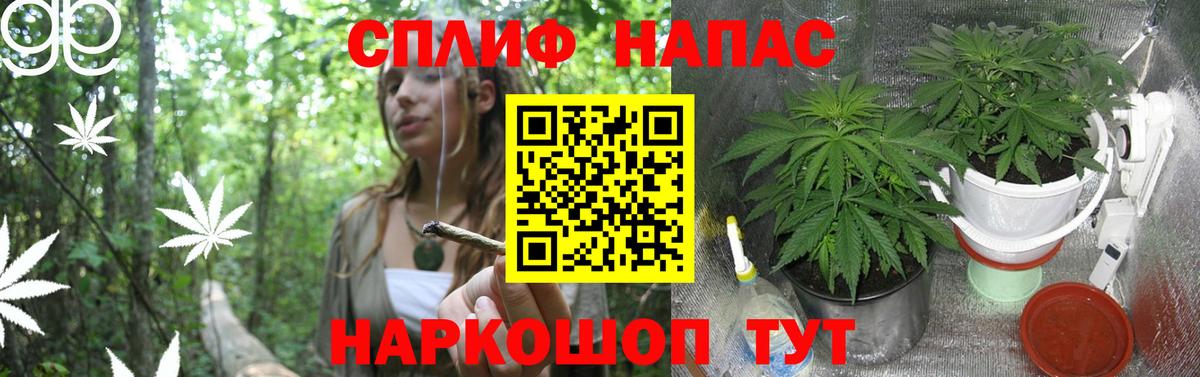 Каннабис тримм Кудрово